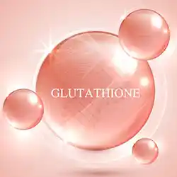 1 Glutathione