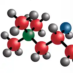 4 L Carnitine Fumarate