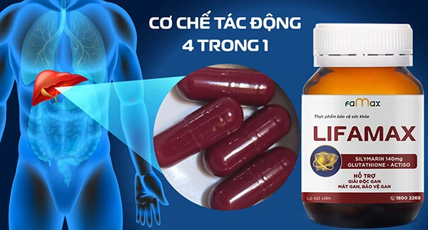 Cơ chế tác động 4 trong 1 của Lifamax