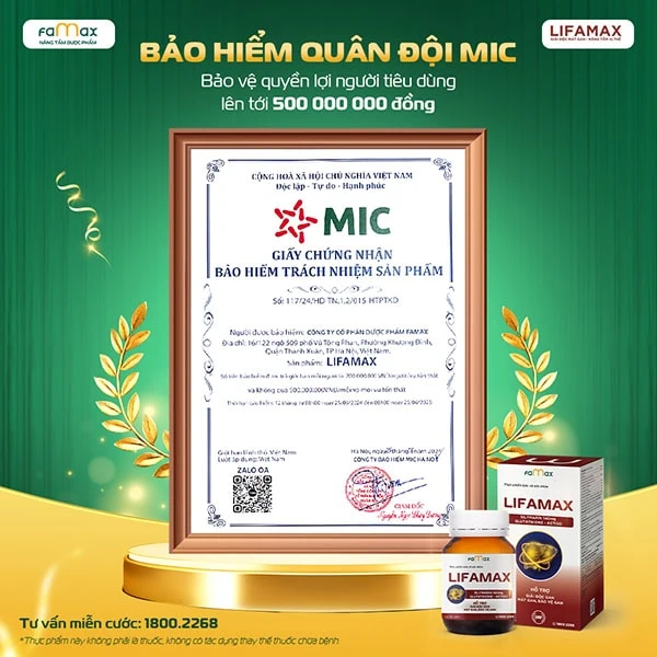 Bao Hiem San Pham Mic Lifamax New