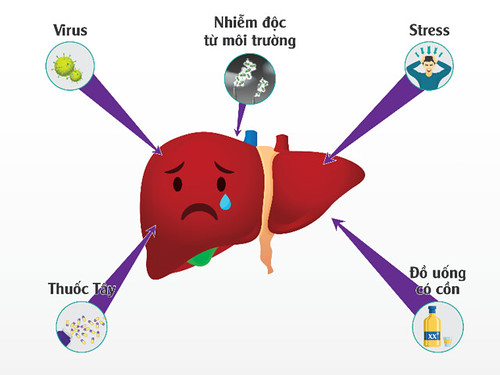 Gan Nhiem Doc