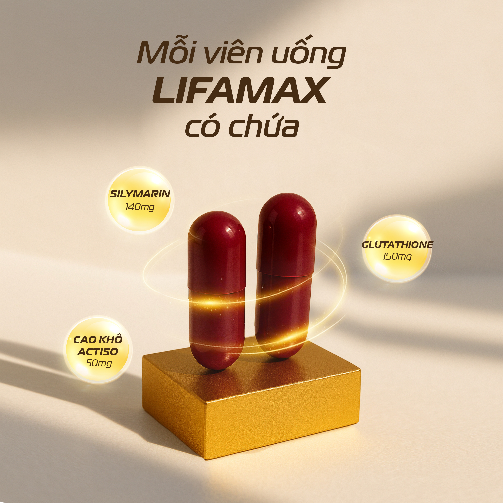 Giải độc Gan Lifmax 10 02 (1)